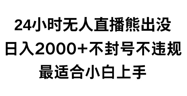 快手24小时无人直播熊出没，不封直播间，不违规，日入2000+，最适合小白上手，保姆式教学【揭秘】-随风资源网