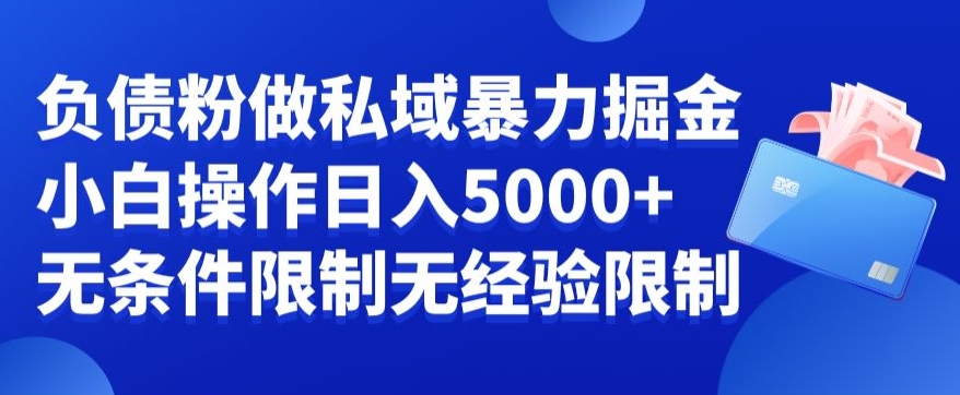 负债粉私域暴力掘金，小白操作入5000，无经验限制，无条件限制【揭秘】-随风资源网
