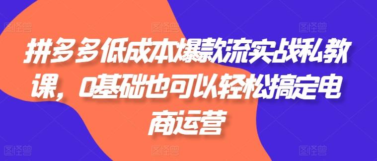 拼多多低成本爆款流实战私教课，0基础也可以轻松搞定电商运营-随风资源网