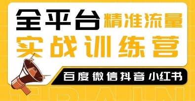 全平台精准流量实战训练营，百度微信抖音小红书SEO引流教程-随风资源网