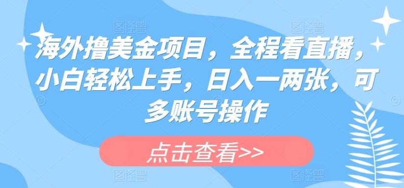 海外撸美金项目，全程看直播，小白轻松上手，日入一两张，可多账号操作【揭秘】-随风资源网
