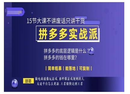 朋哥电商(拼多多实战派)，15节大课不讲废话只讲干货，简单粗暴 能落地 可复制-随风资源网