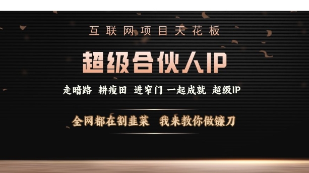 互联网项目天花板，超级合伙人IP，全网都在割韭菜，我来教你做镰刀【仅揭秘】-随风资源网