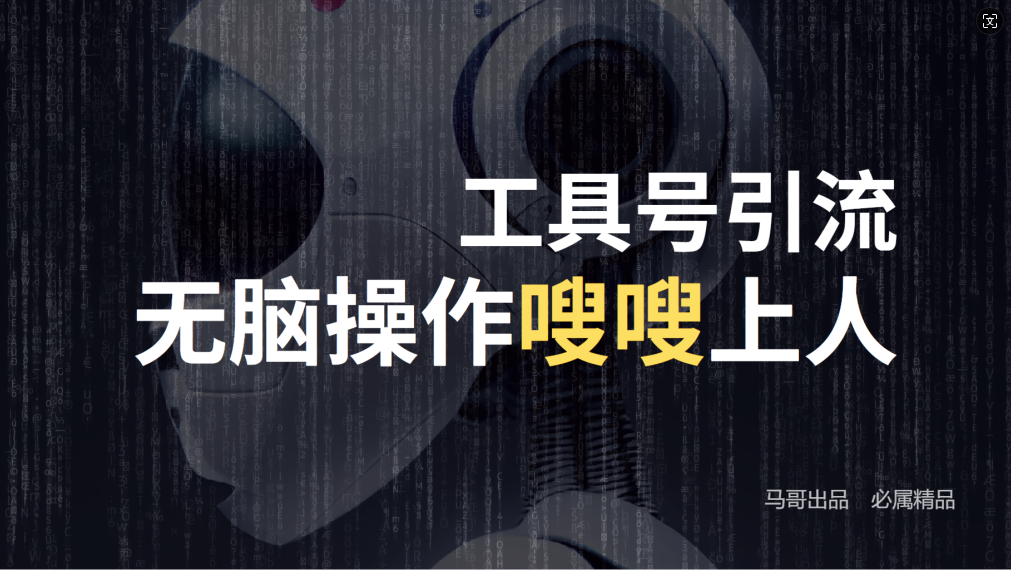 24年抖音最新工具号日引流300+创业粉，日入5000+-随风资源网