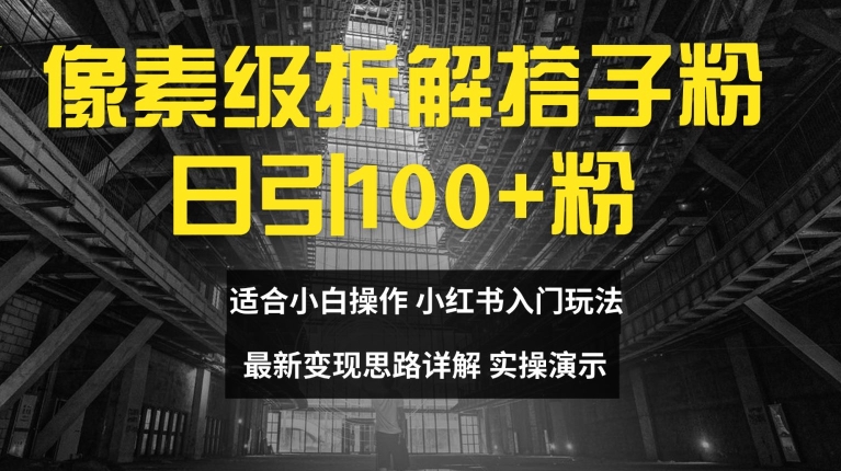 像素级拆解搭子粉，日引100+，小白看完可上手，最新变现思路详解【揭秘】-随风资源网