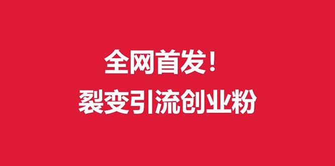 (全网首发)外面收费几千的裂变引流高质量创业粉-随风资源网