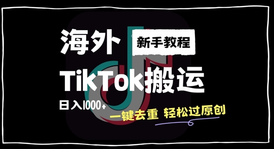 2024最新海外TikTok搬运玩法，一键去重轻松过原创，新手无经验也能日入1k【揭秘】-随风资源网