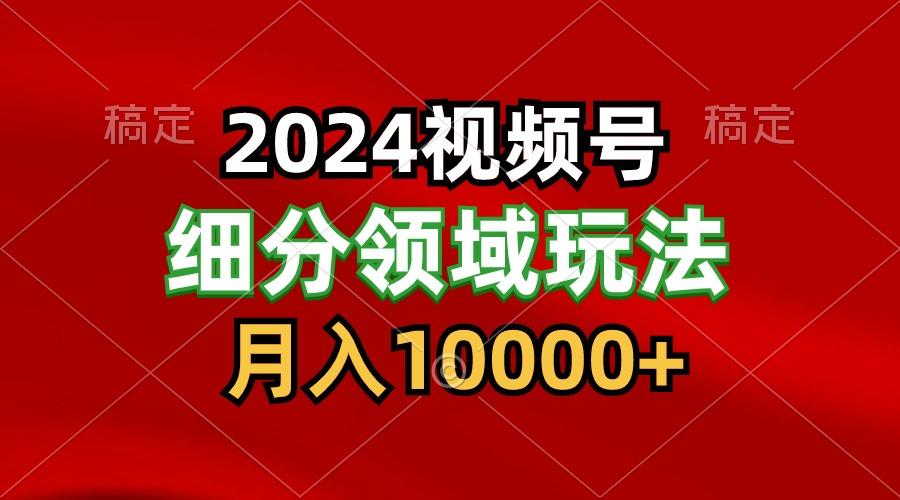 2024视频号分成计划细分领域玩法，每天5分钟，月入1W+-随风资源网