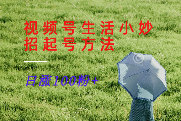 视频号生活小妙招分享赛道， 起号涨粉新方法，日涨100粉-随风资源网