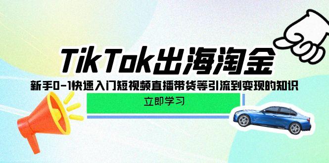 (10035期)TikTok-出海淘金，新手0-1快速入门短视频直播带货等引流到变现的知识-随风资源网