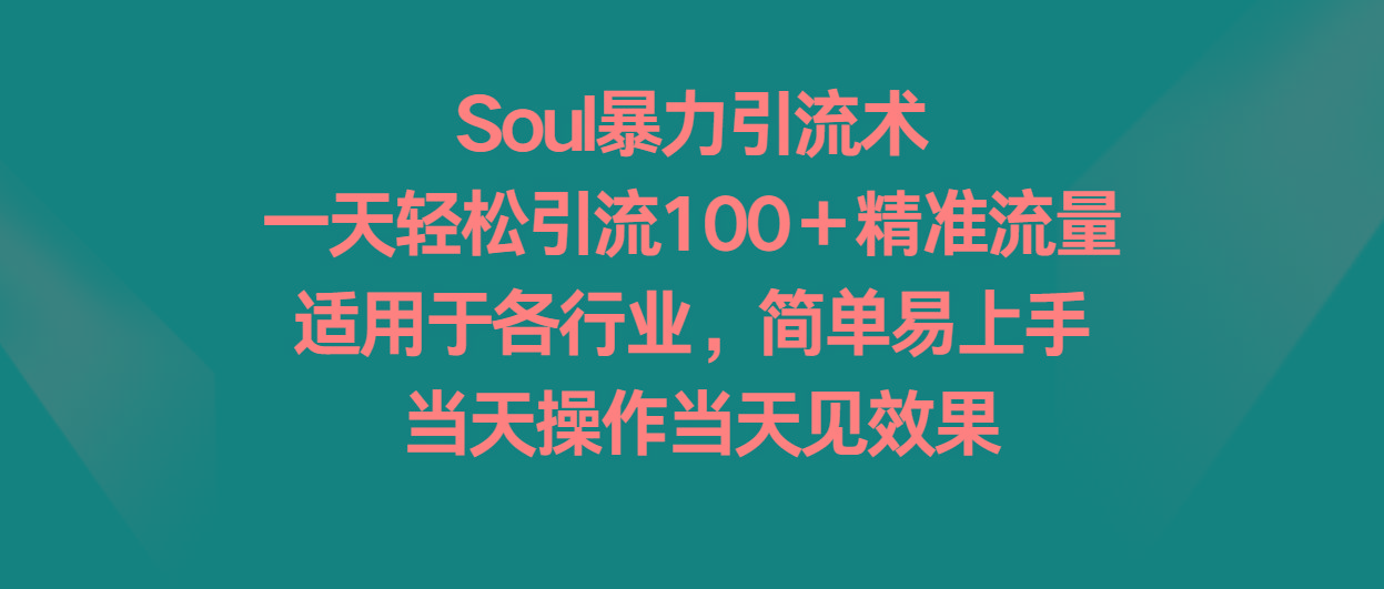 Soul暴力引流术，一天轻松引流100＋精准流量，适用于各行业，简单易上手！-随风资源网
