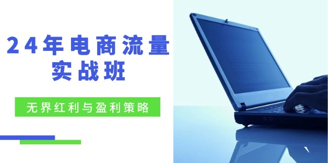 24年电商流量实战班：无界 红利与盈利策略，终极提升/关键词优化/精准…-随风资源网