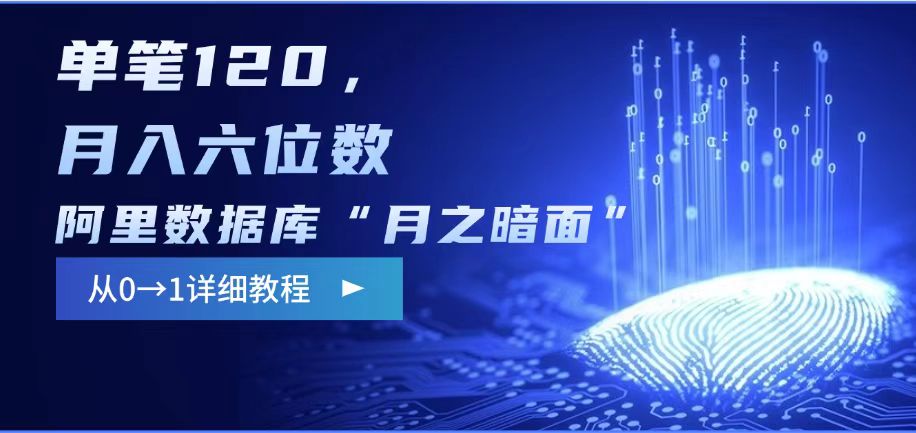 阿里数据库“月之暗面“影评撰写，边追剧边赚钱，单笔120,，月入过W-随风资源网
