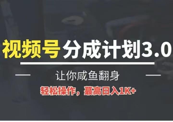 24年视频号冷门蓝海赛道，操作简单，单号收益可达四位数-随风资源网