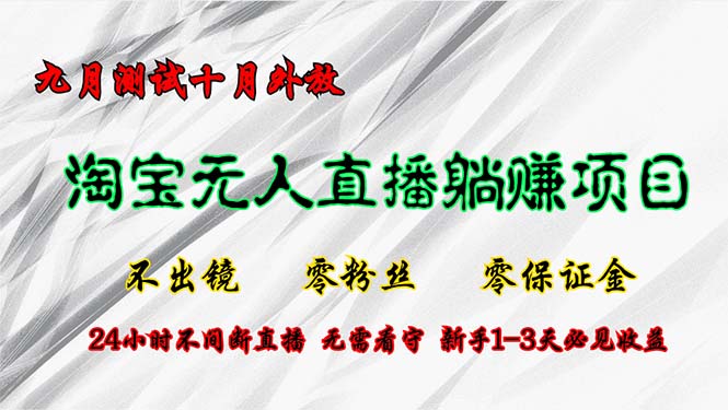 淘宝无人直播最新玩法，九月测试十月外放，不出镜零粉丝零保证金，24小…-随风资源网