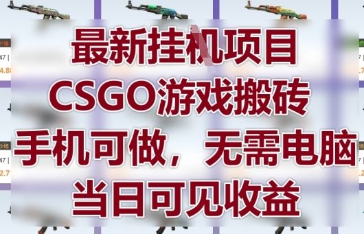 最新挂G项目，CSGO游戏搬砖，手机可做，无需电脑，当日见收益【揭秘】-随风资源网