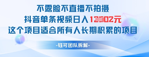 不露脸不直播不拍摄抖音单条视频日入1k+这个项目适合所有人长期积累的项目-随风资源网