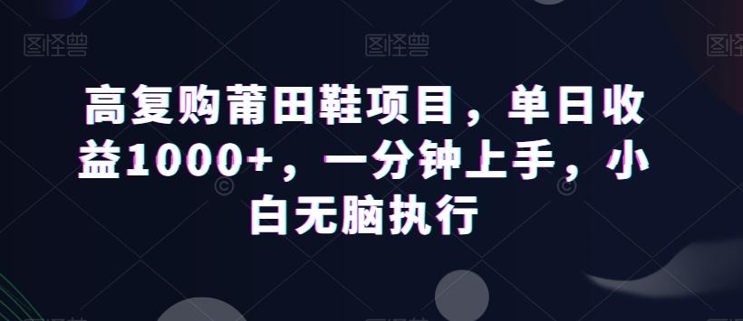 高复购莆田鞋项目，单日收益1000+，一分钟上手，小白无脑执行-随风资源网