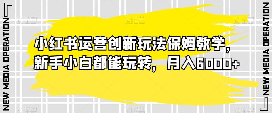 小红书运营创新玩法保姆教学，新手小白都能玩转，月入6000+【揭秘】-随风资源网