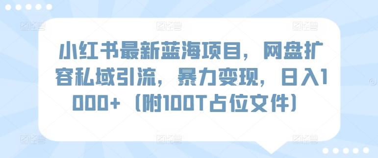 小红书最新蓝海项目，网盘扩容私域引流，暴力变现，日入1000+(附100T占位文件)【揭秘】-随风资源网