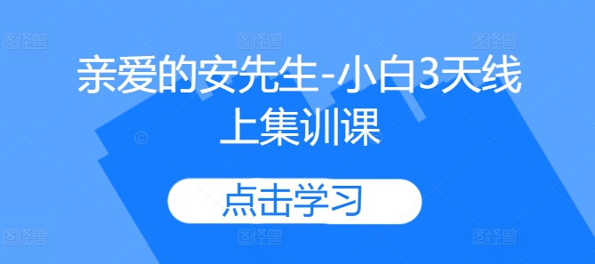 亲爱的安先生-小白3天线上集训课-随风资源网
