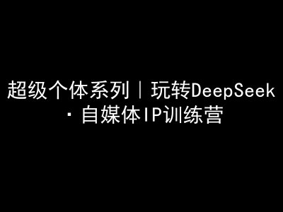 超级个体系列，玩转DeepSeek·自媒体IP训练营，deepseek教程-随风资源网
