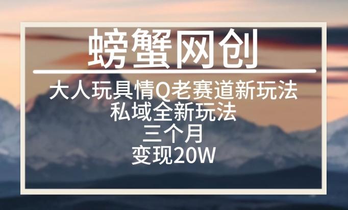 大人玩具情Q用品赛道私域全新玩法，三个月变现20W，老项目新思路【揭秘】-随风资源网